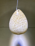 Fossil Coral Pendant