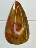 Fossil Coral Pendant
