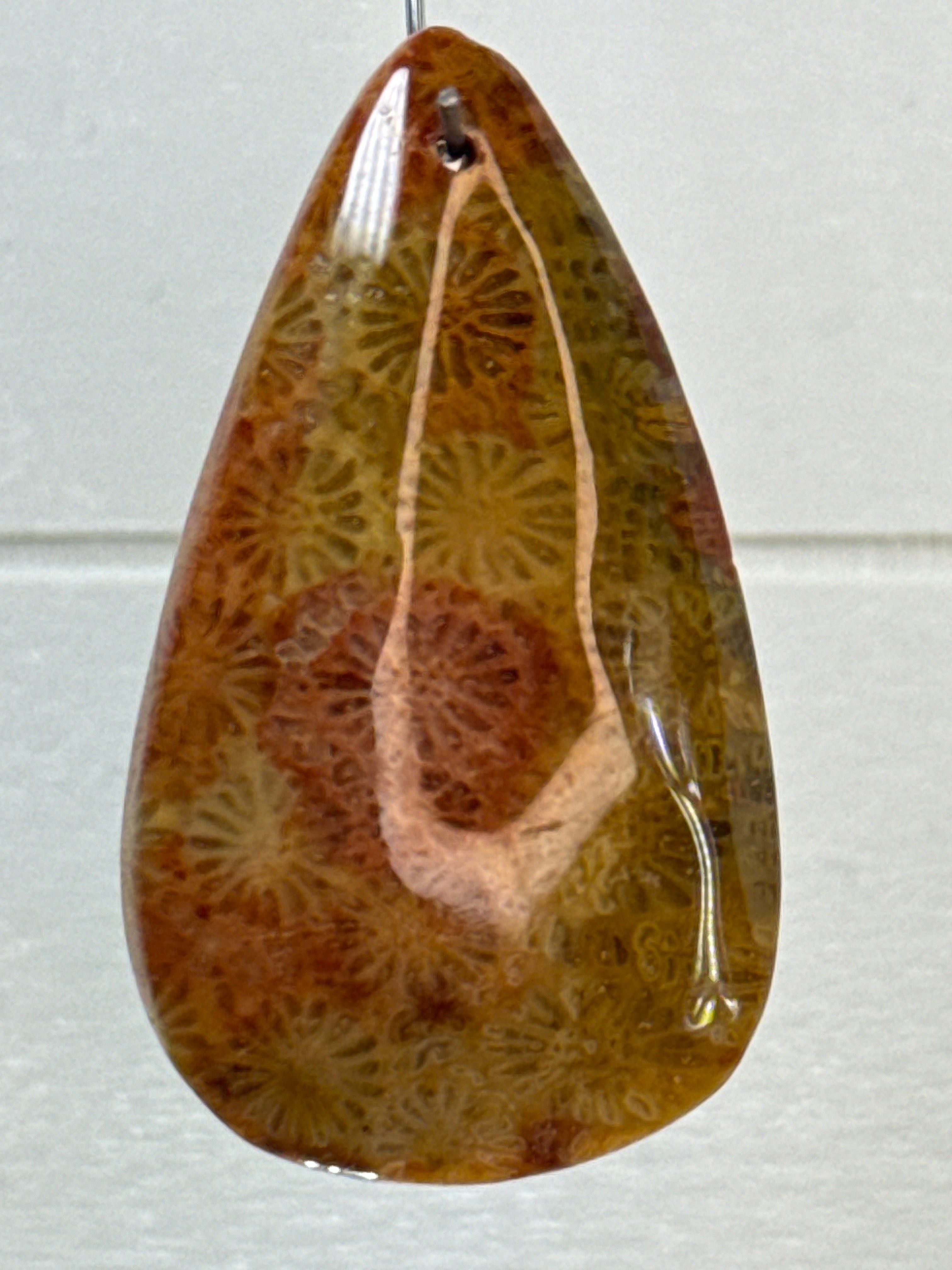 Fossil Coral Pendant