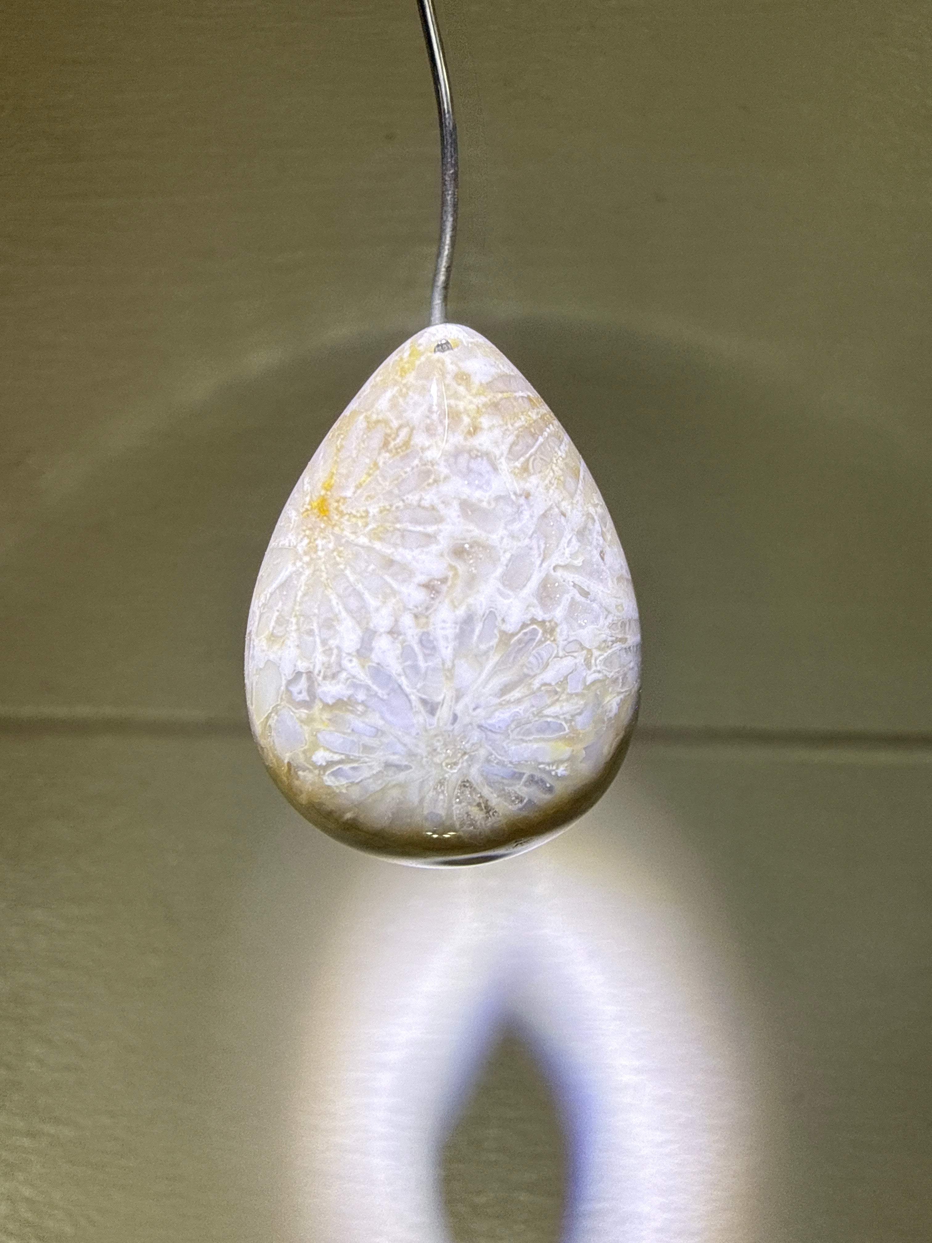 Fossil Coral Pendant