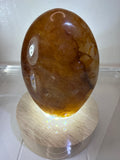 Golden Healer Freeform