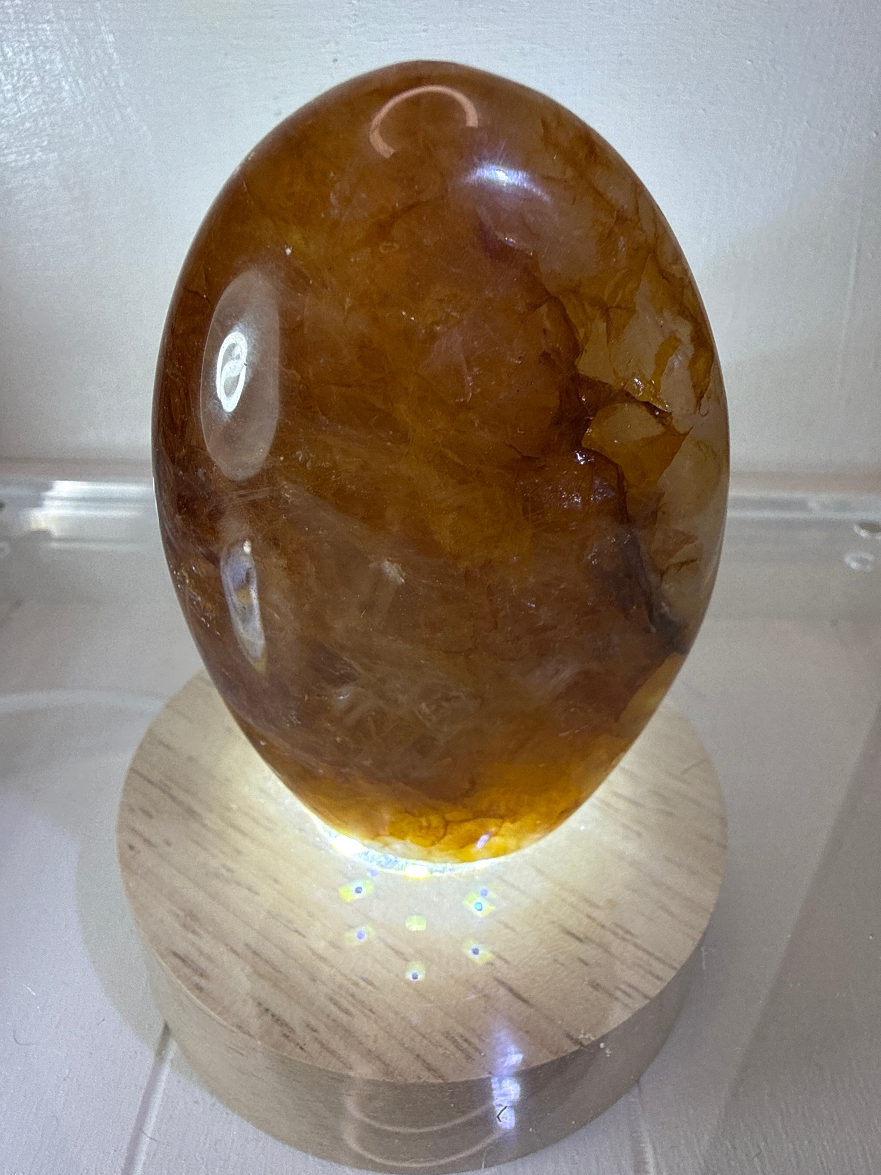 Golden Healer Freeform