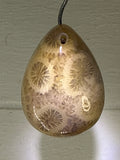 Fossil Coral Pendant