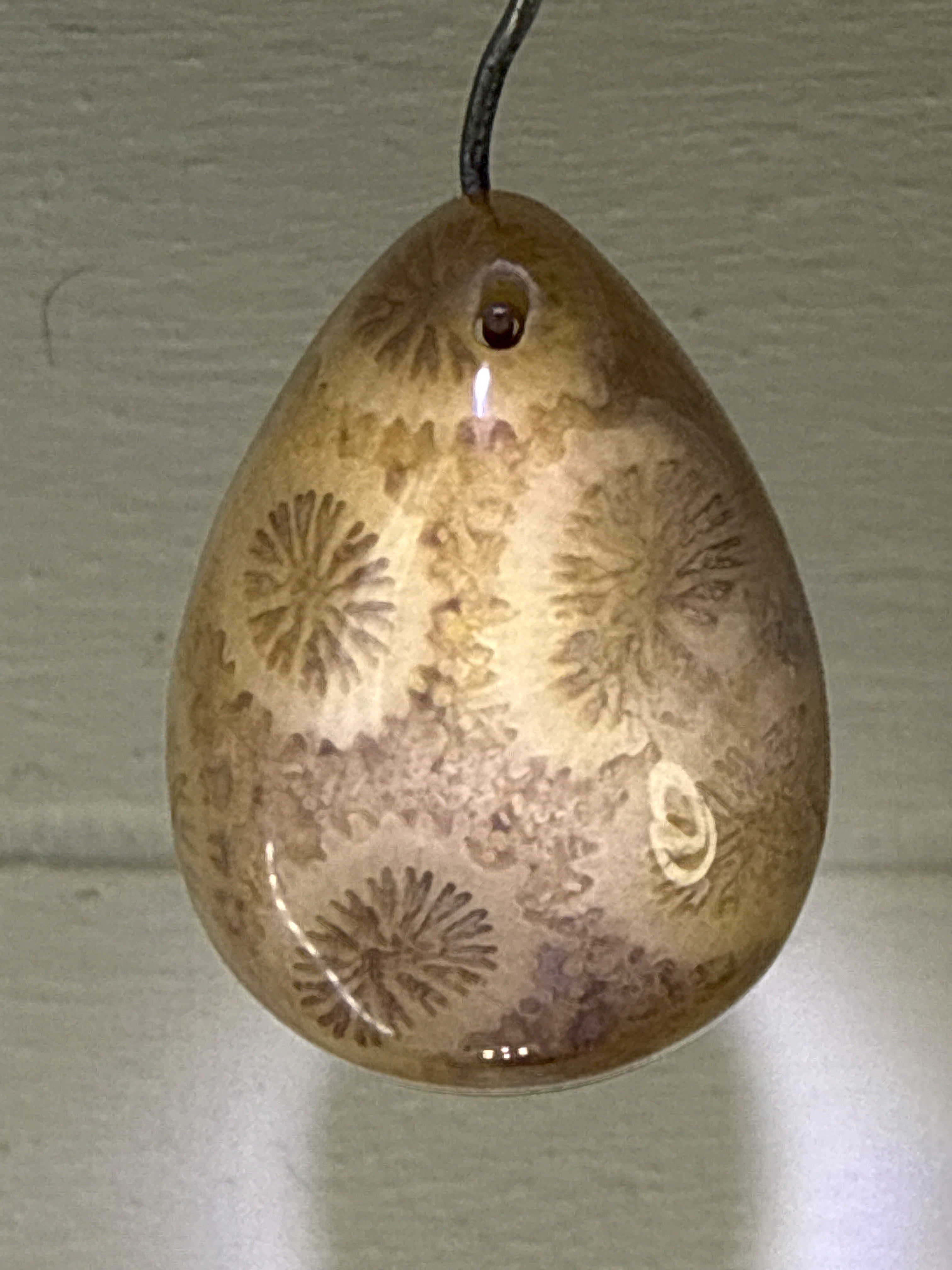 Fossil Coral Pendant