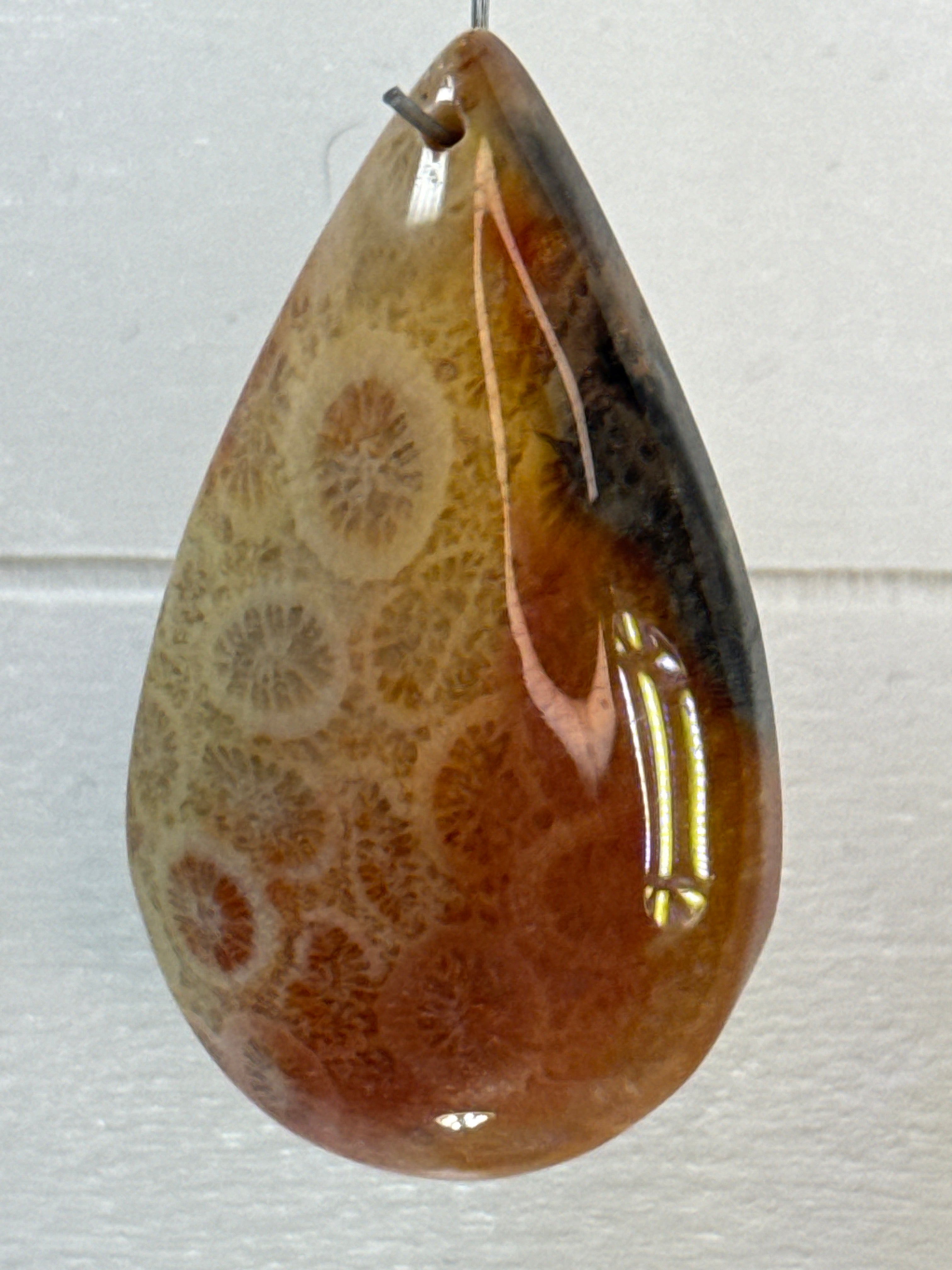 Fossil Coral Pendant