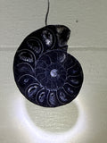 Black Druzy Ammonite Pendant