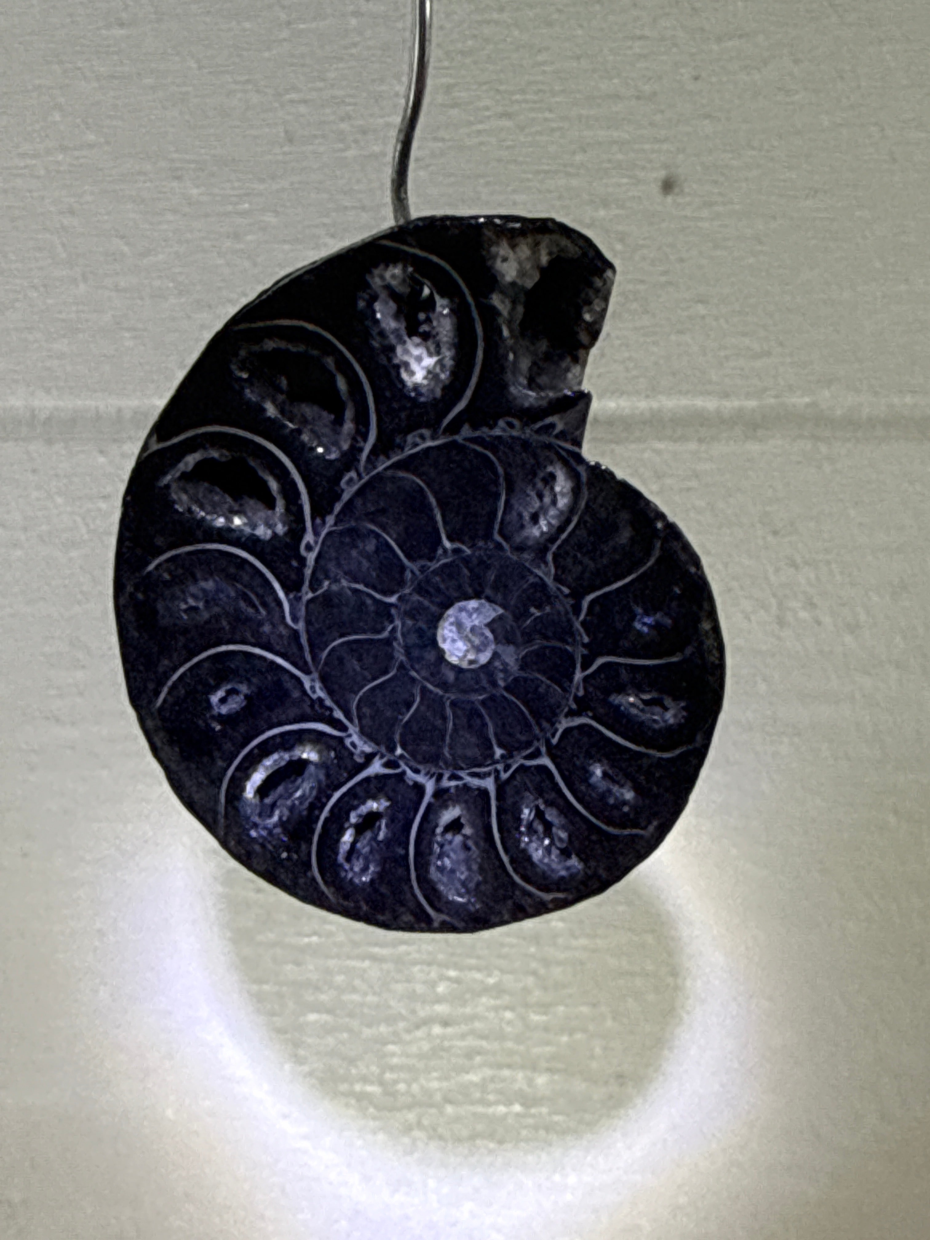 Black Druzy Ammonite Pendant
