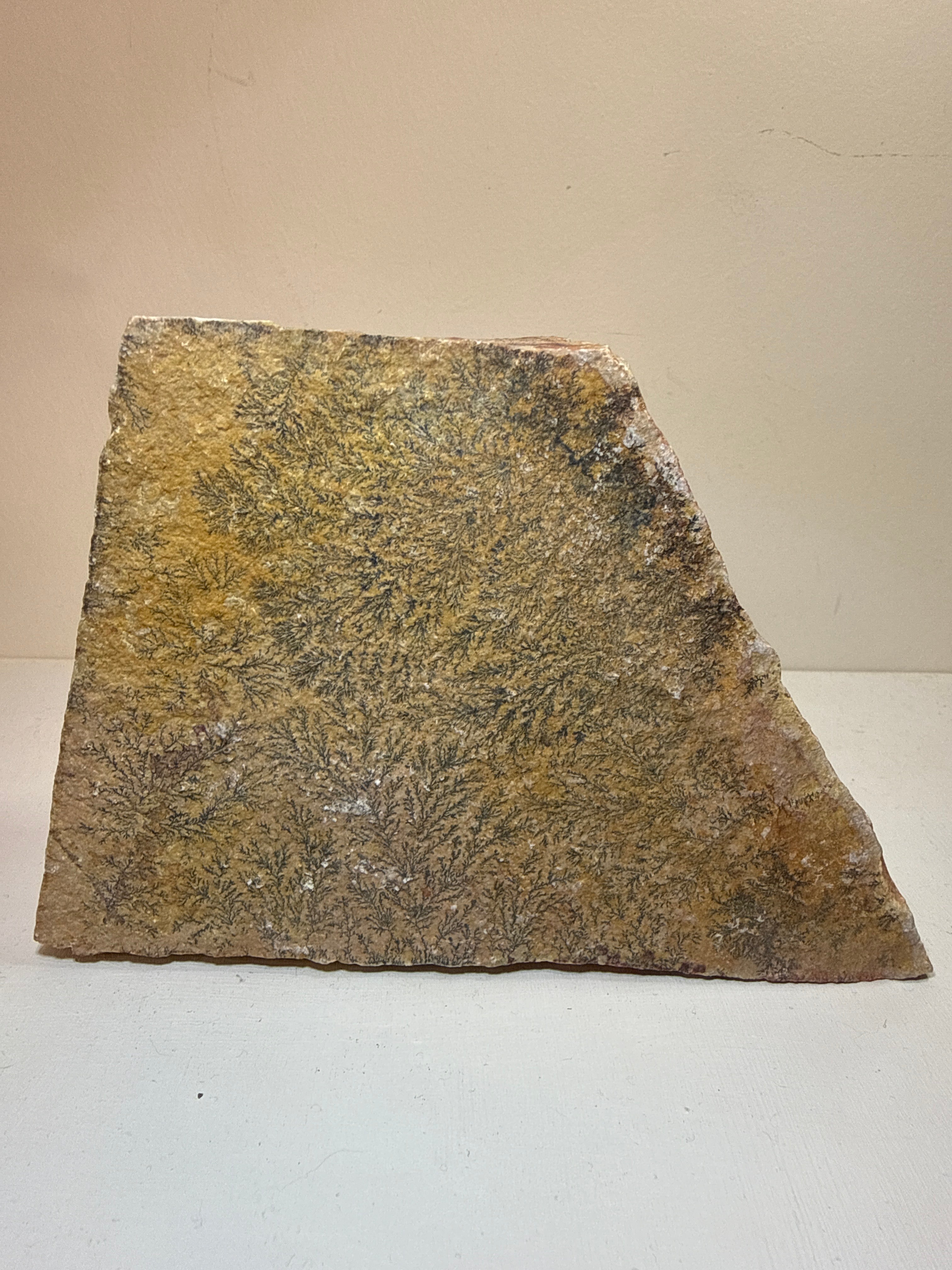 Dendritic rock Slab