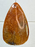 Fossil Coral Pendant
