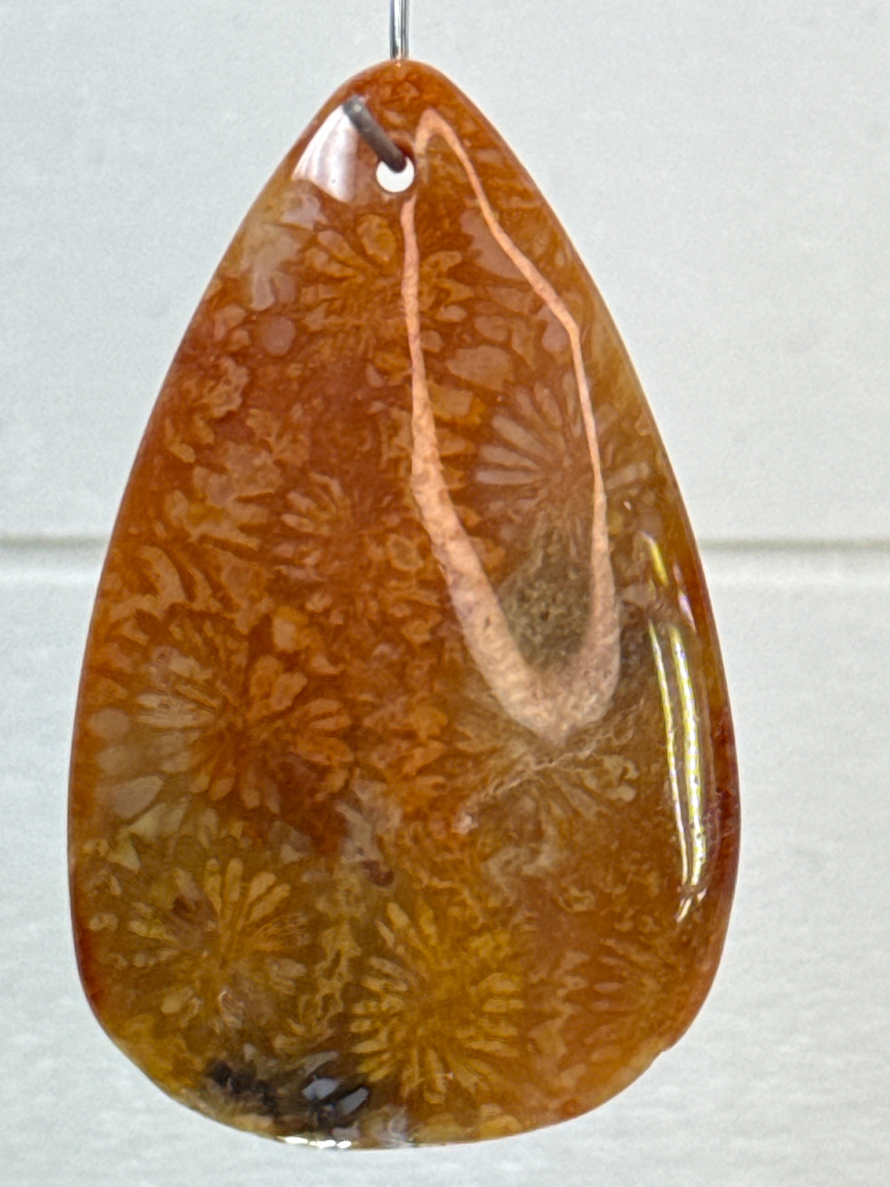 Fossil Coral Pendant