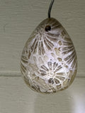 Fossil Coral Pendant
