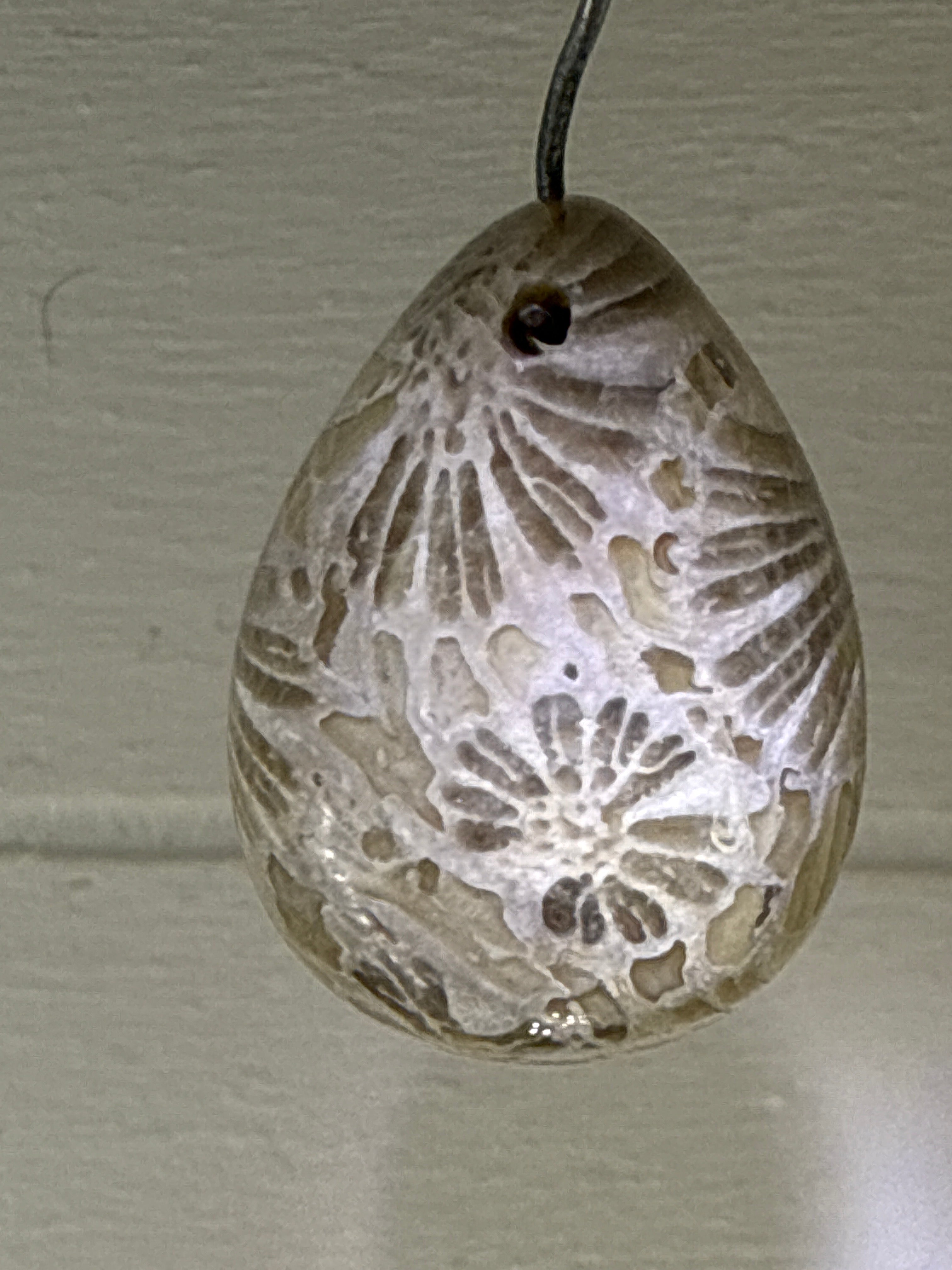 Fossil Coral Pendant