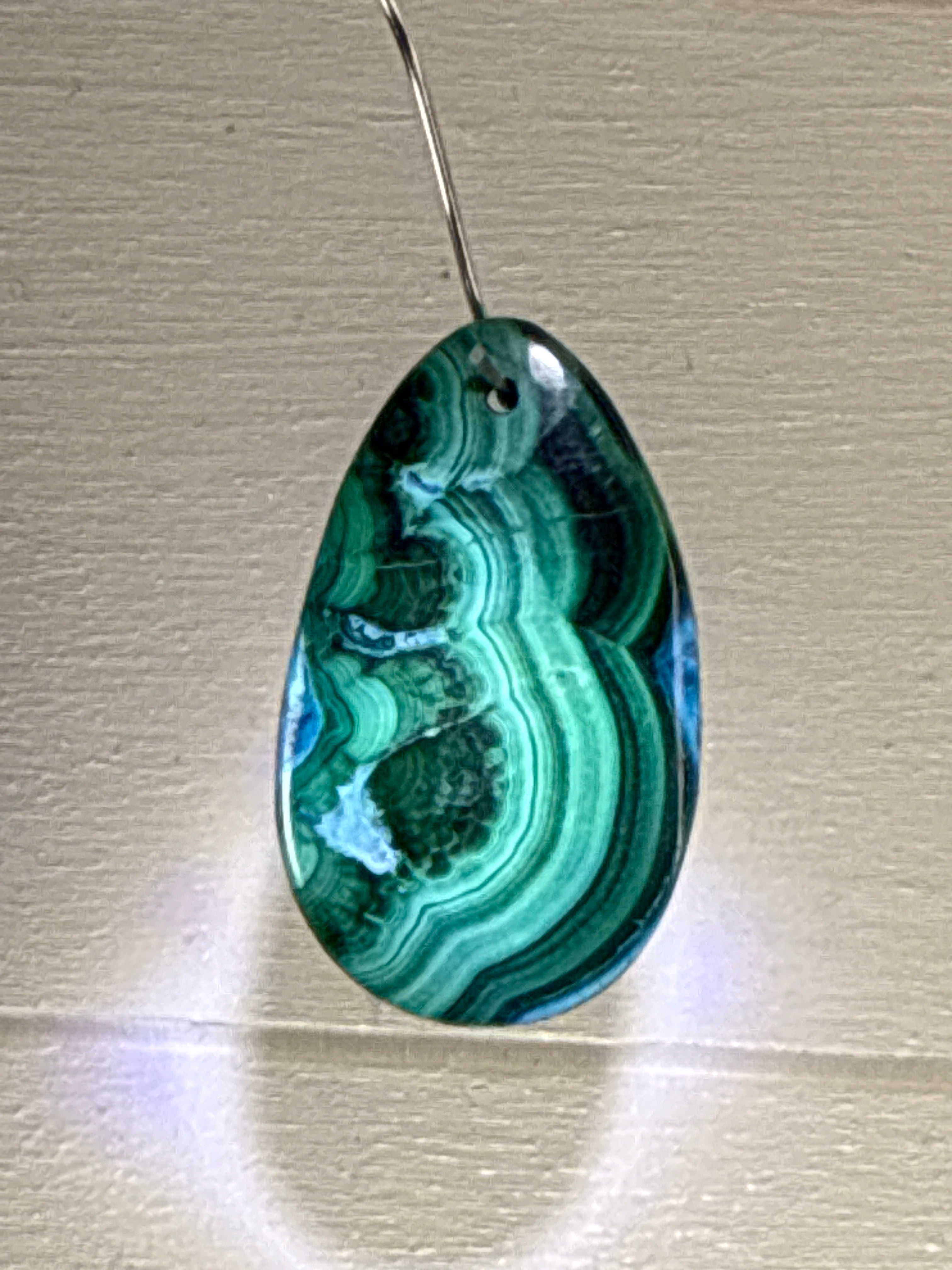 Malacholla Pendant