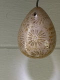 Fossil Coral Pendant