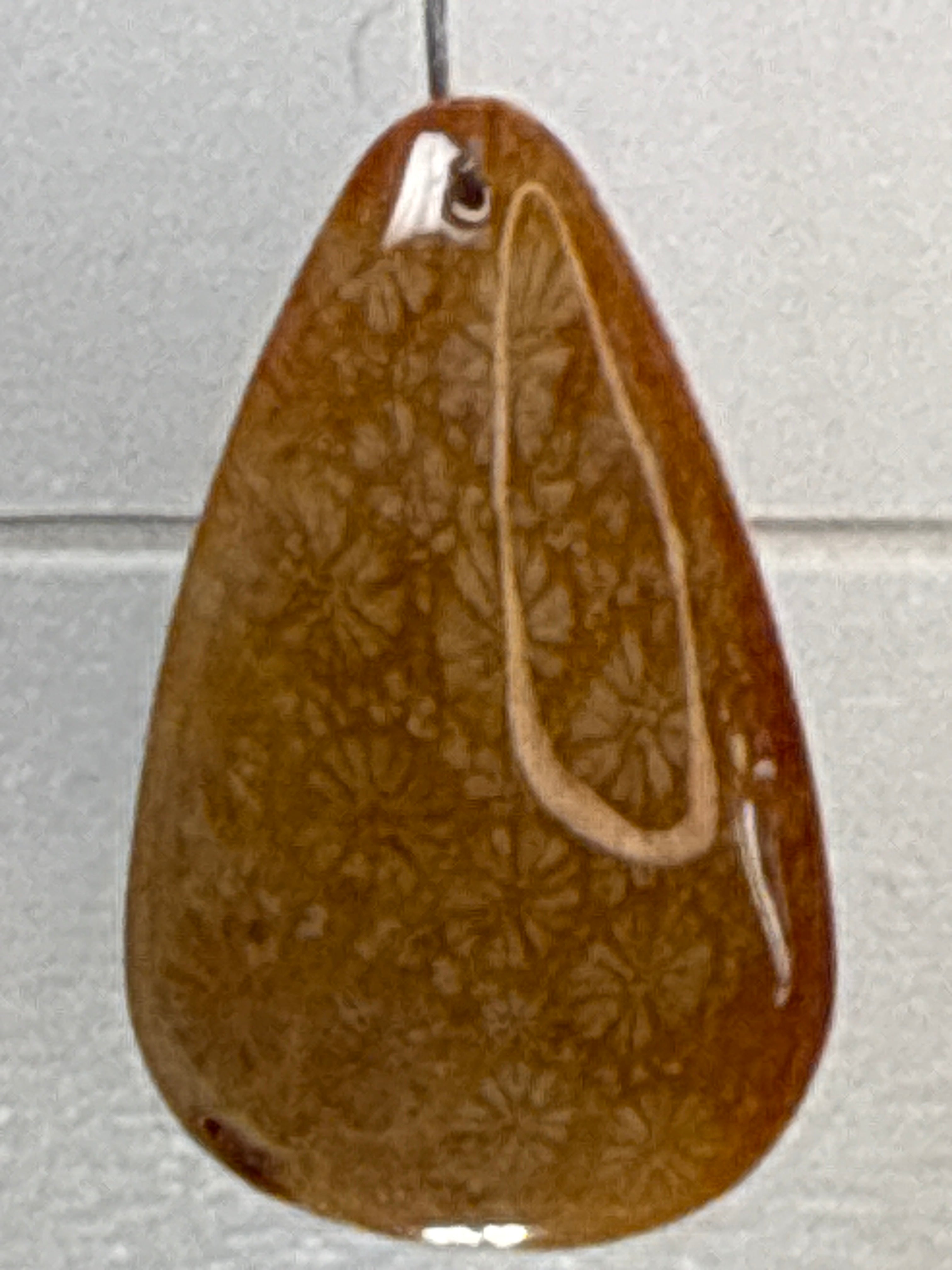 Fossil Coral Pendant