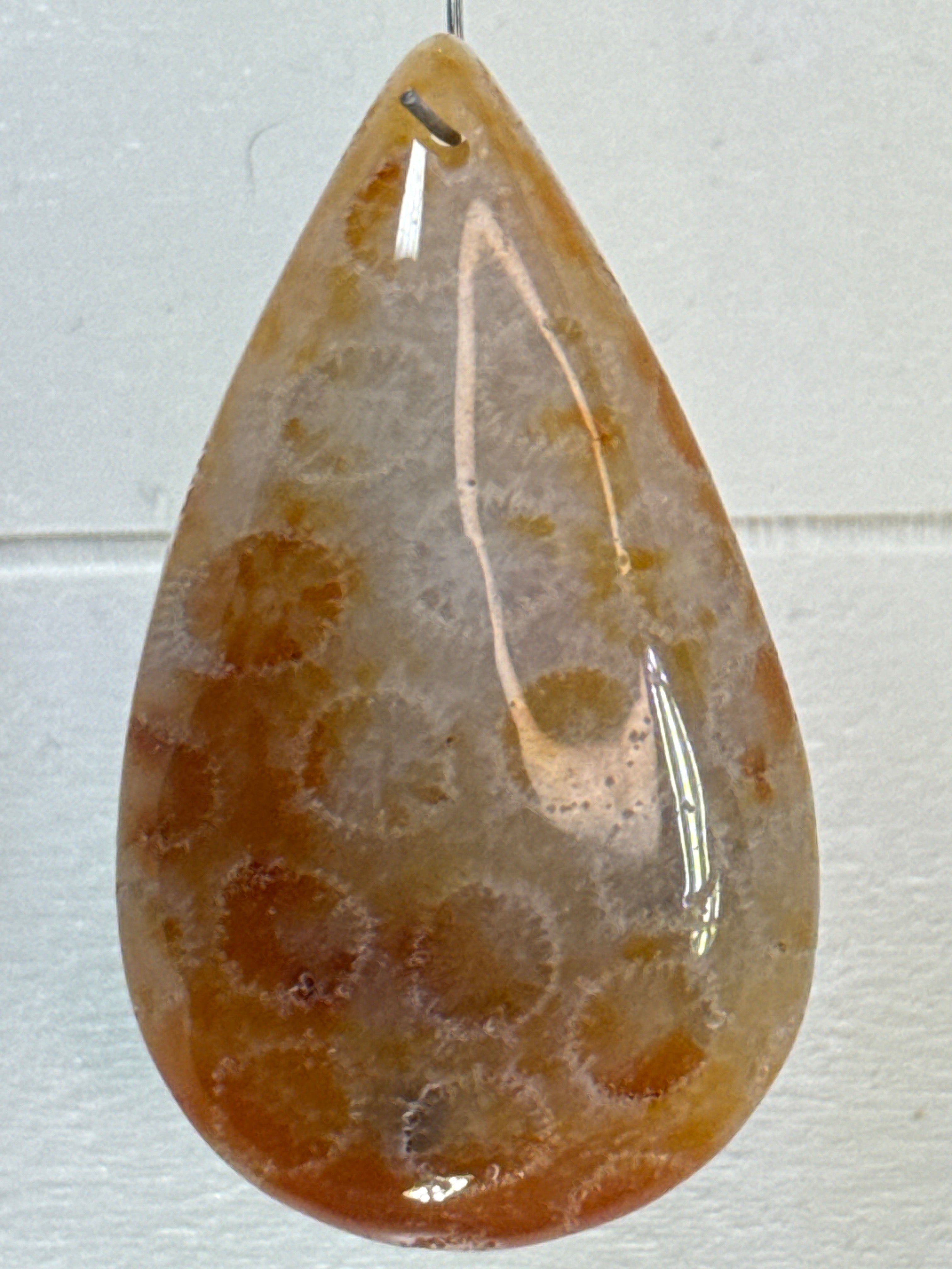 Fossil Coral Pendant