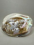 Oyster Shell Trinket Dish