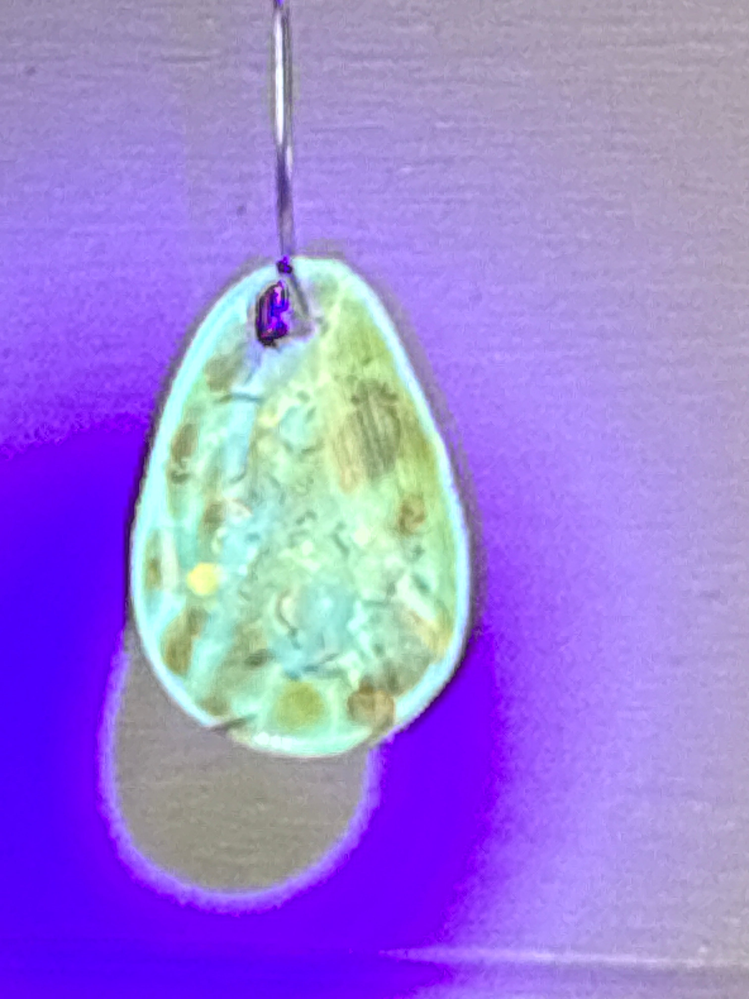 Flower Amber (Heavy Inclusions)