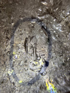 Enhydro - Included Quartz