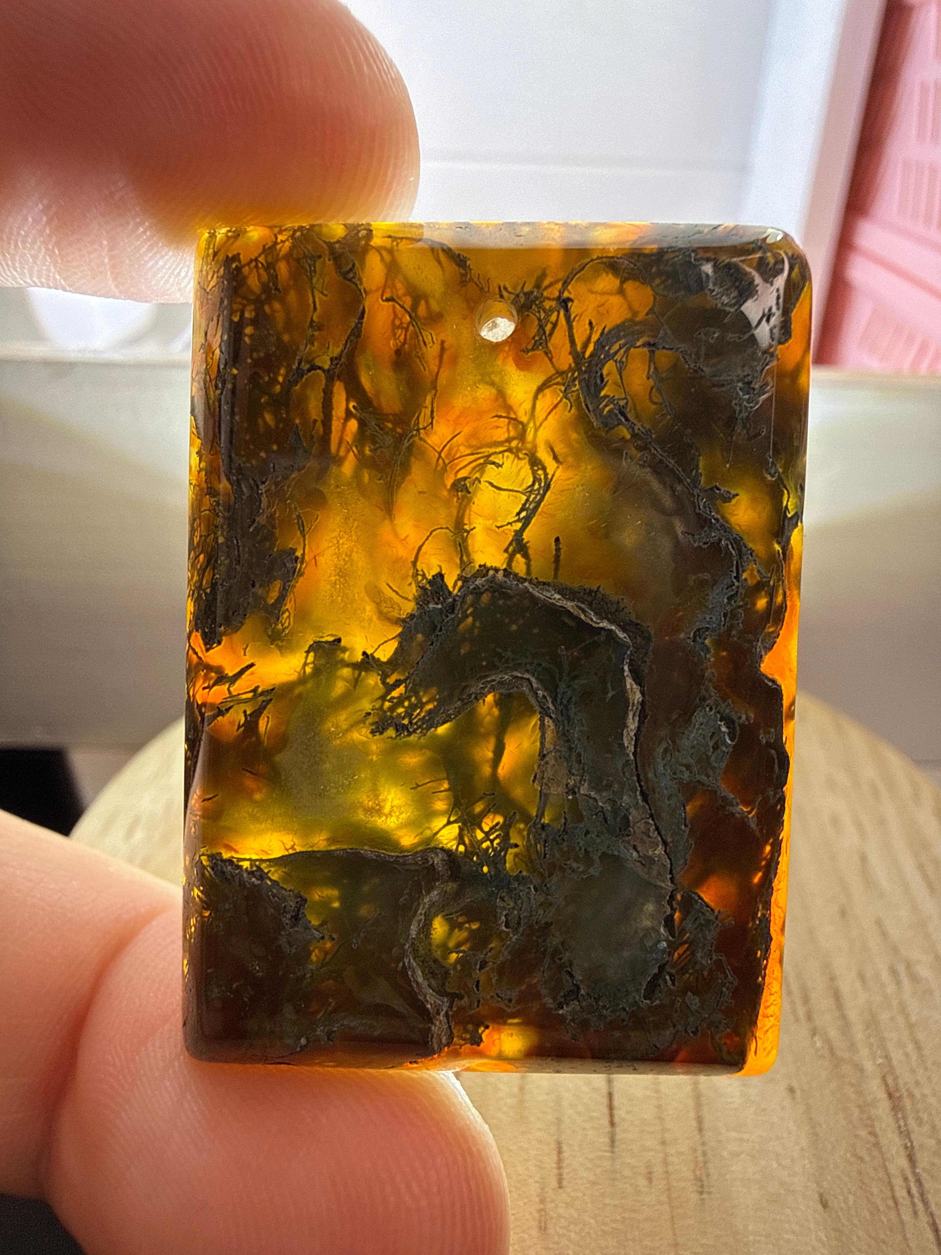 Moss Agate in Carnelian Pendant