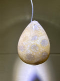 Fossil Coral Pendant