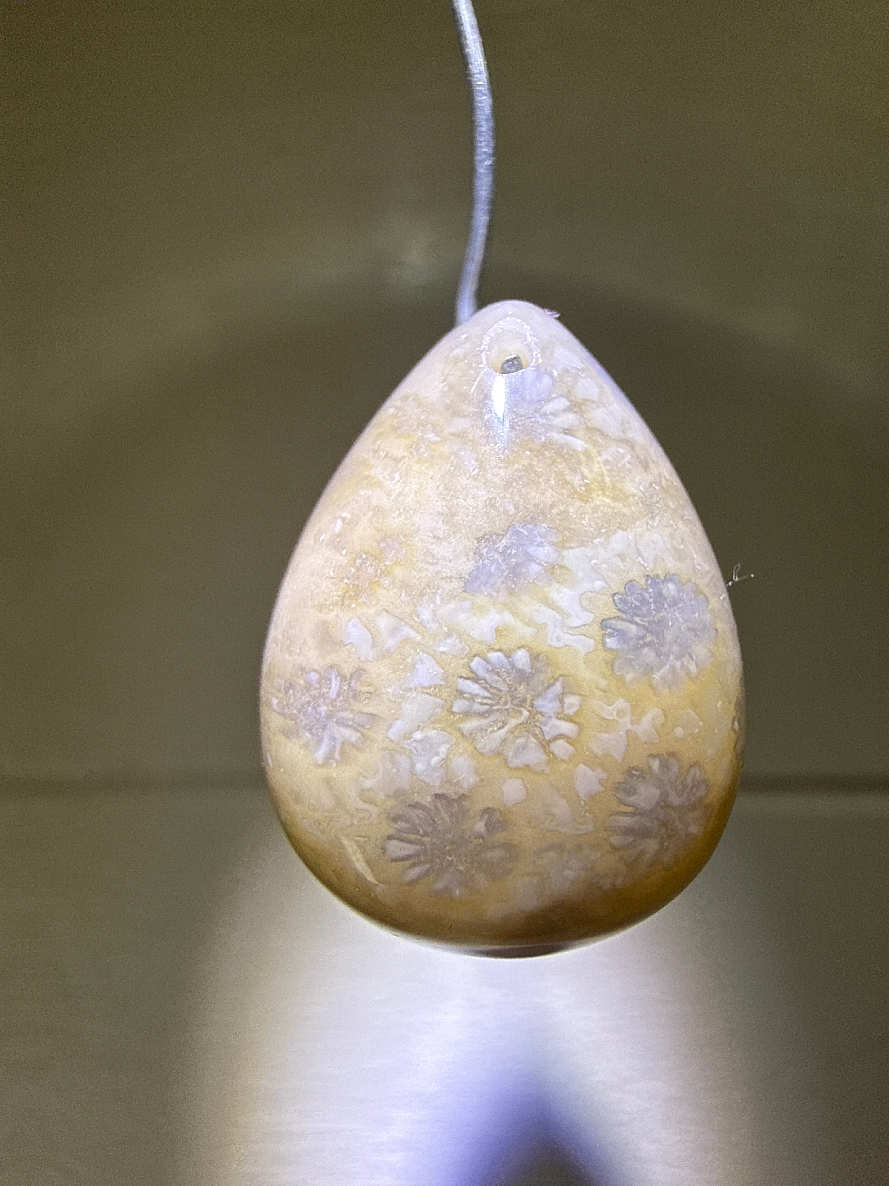 Fossil Coral Pendant
