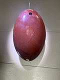 Petrified Wood Pendant