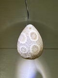 Fossil Coral Pendant