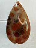 Fossil Coral Pendant