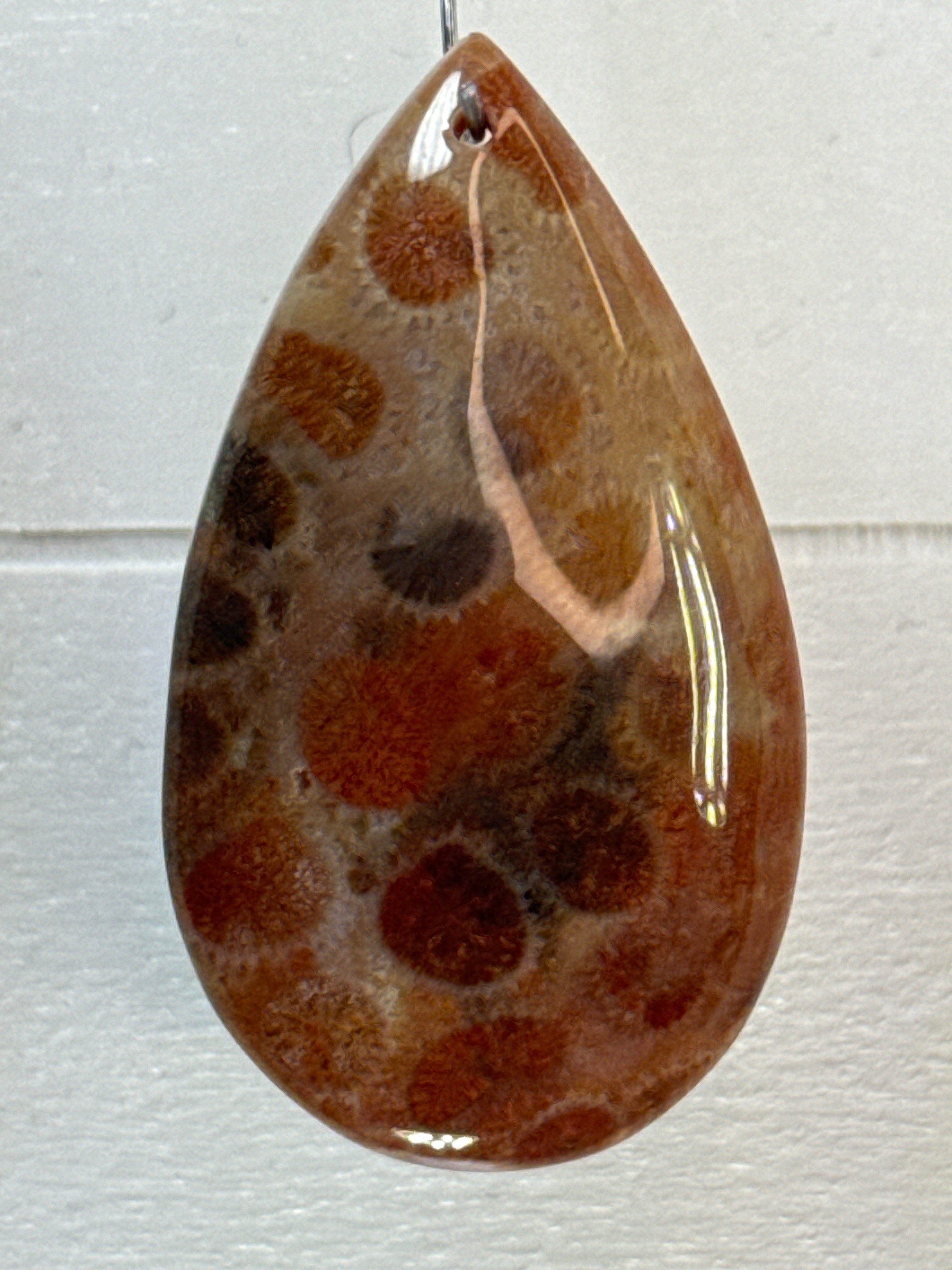 Fossil Coral Pendant