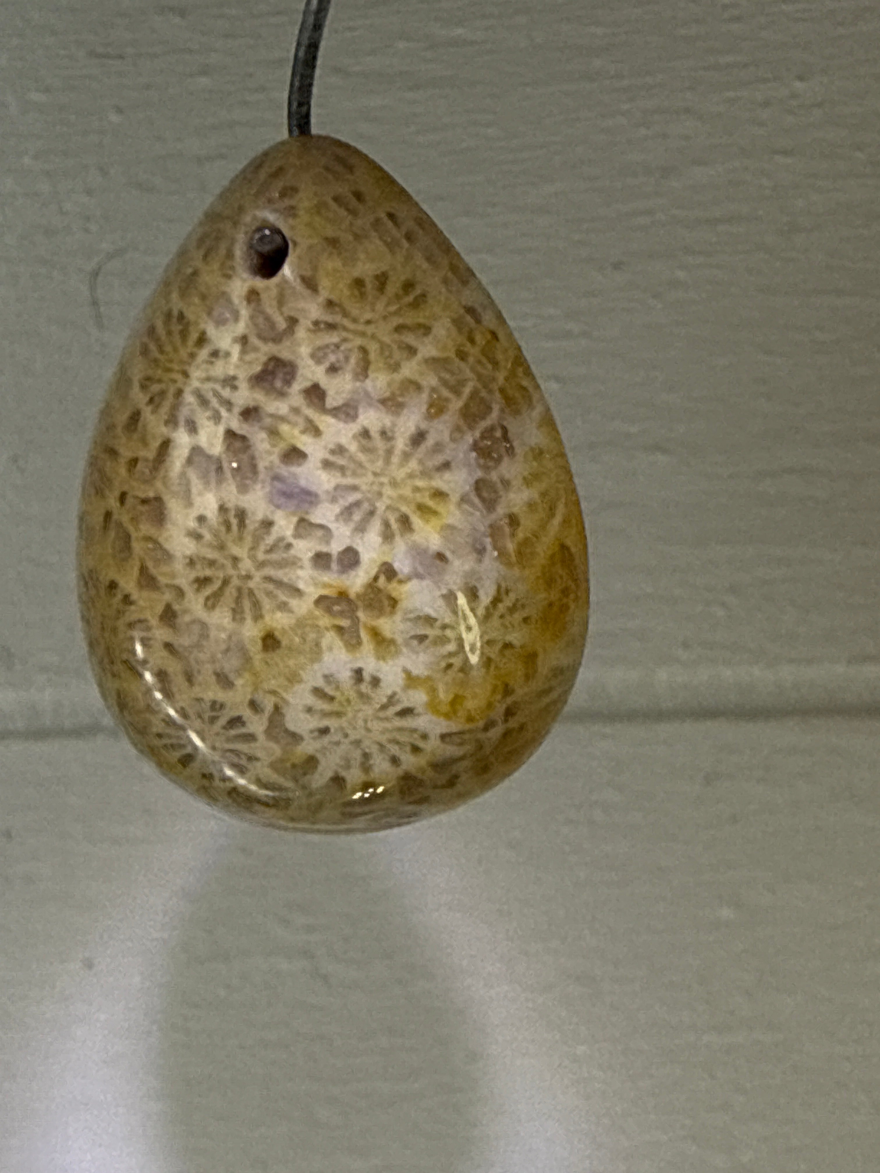 Fossil Coral Pendant