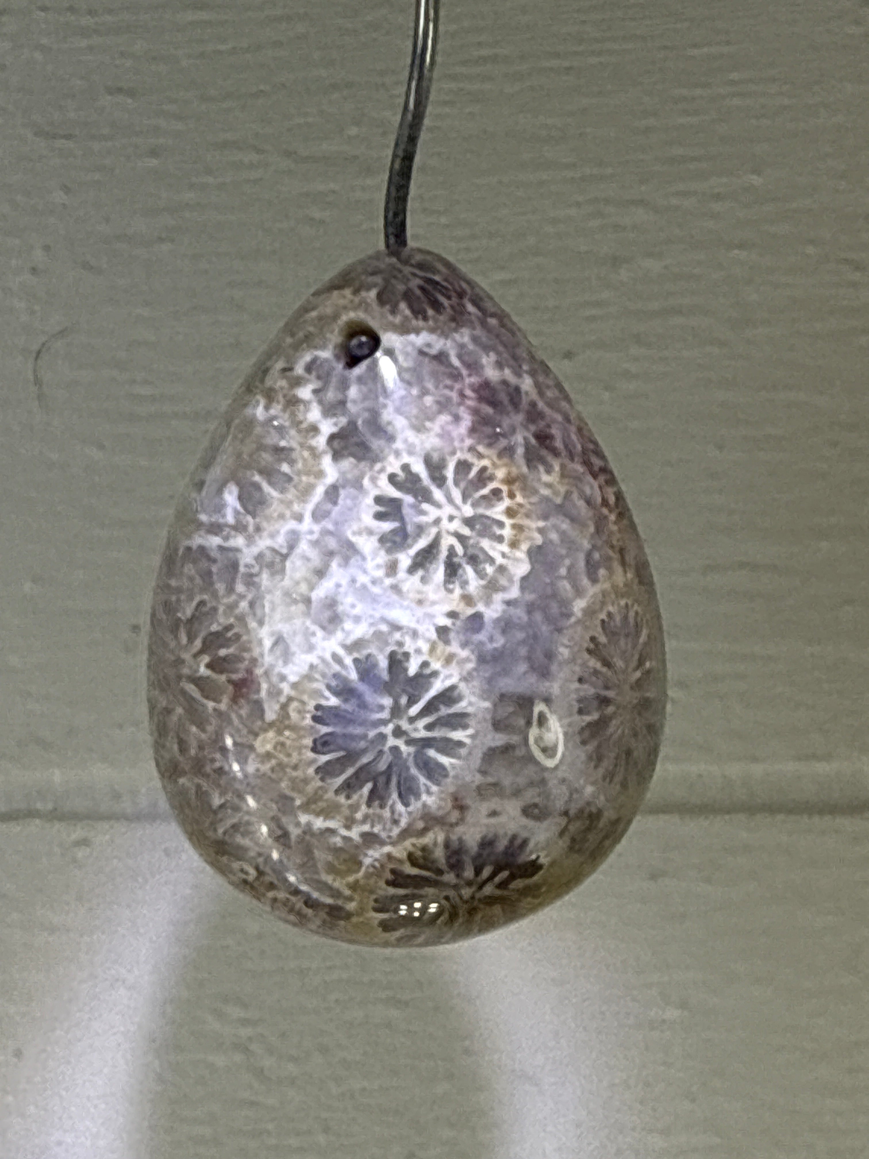 Fossil Coral Pendant