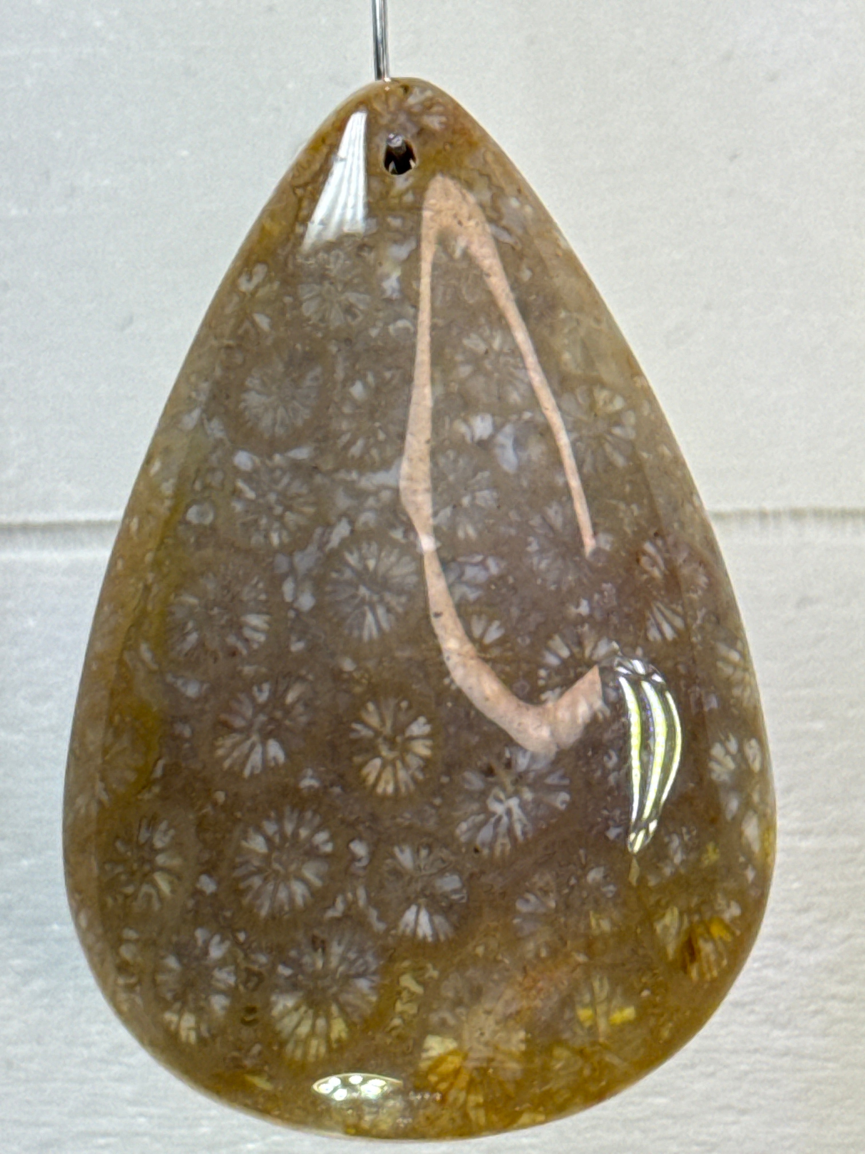 Fossil Coral Pendant