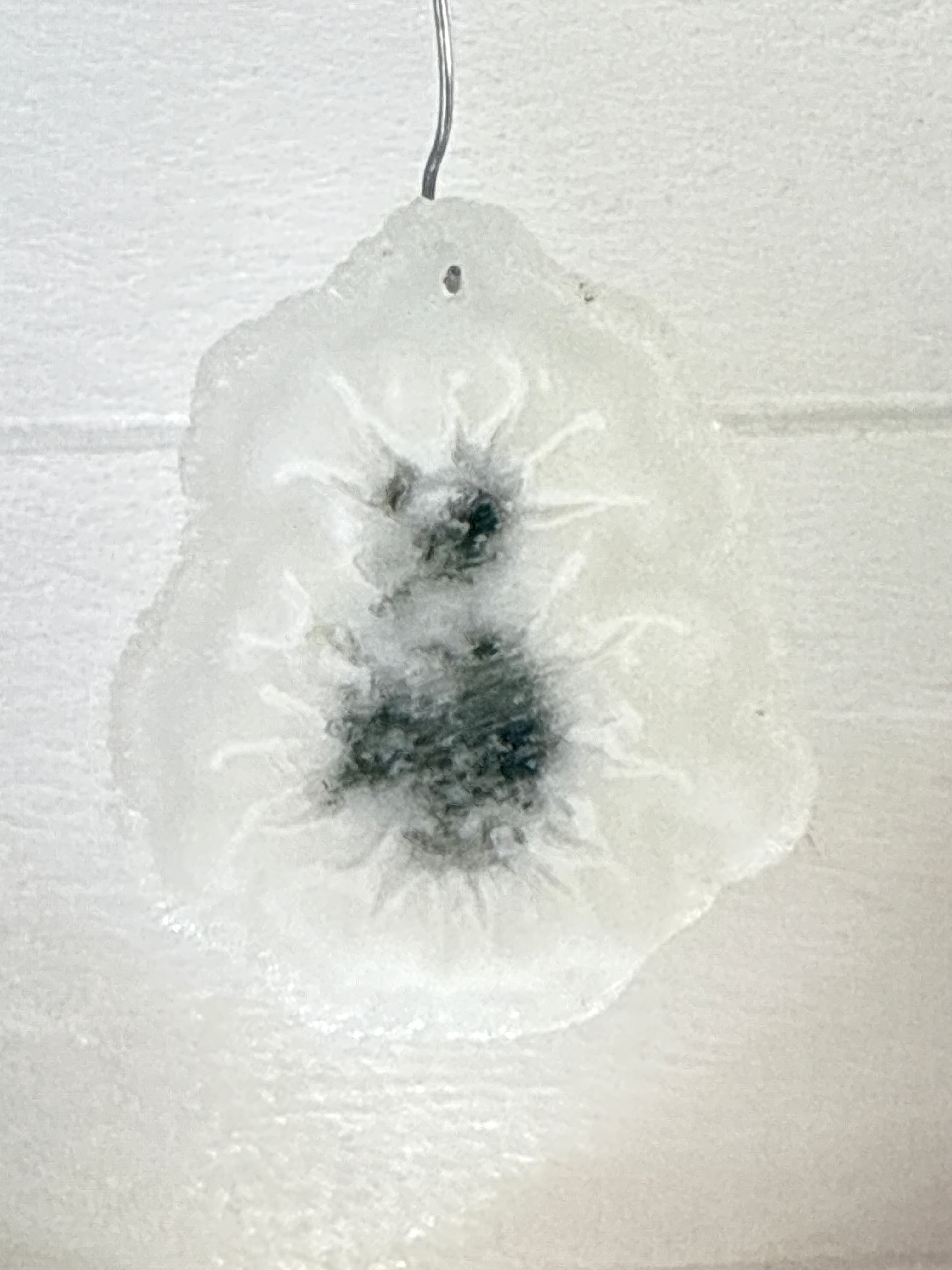 Solstice Quartz Pendant