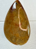 Fossil Coral Pendant