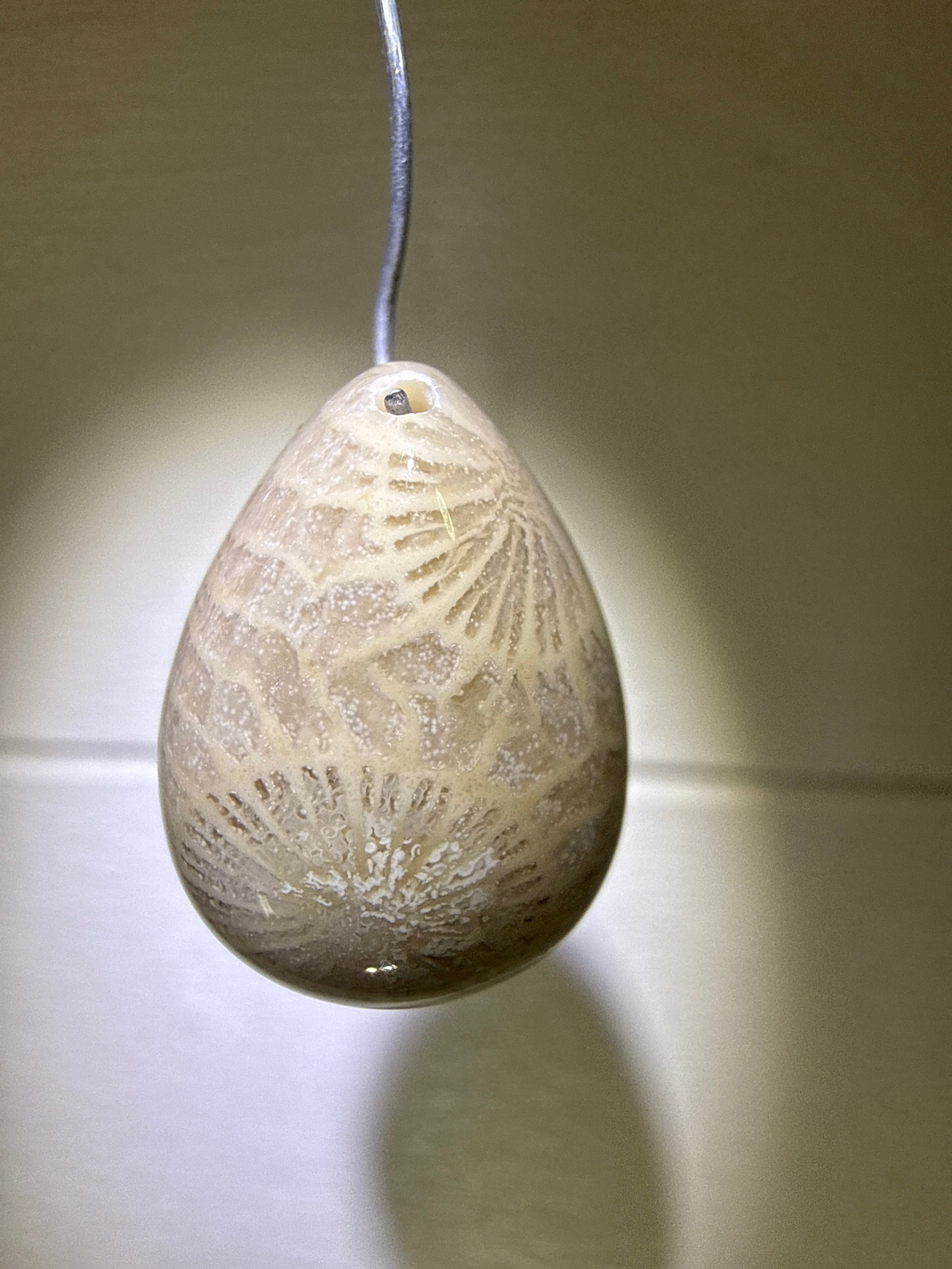 Fossil Coral Pendant