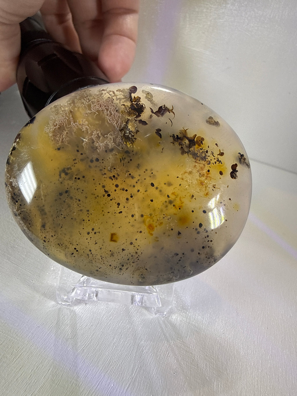 Dendritic Moss Agate Palm Stone