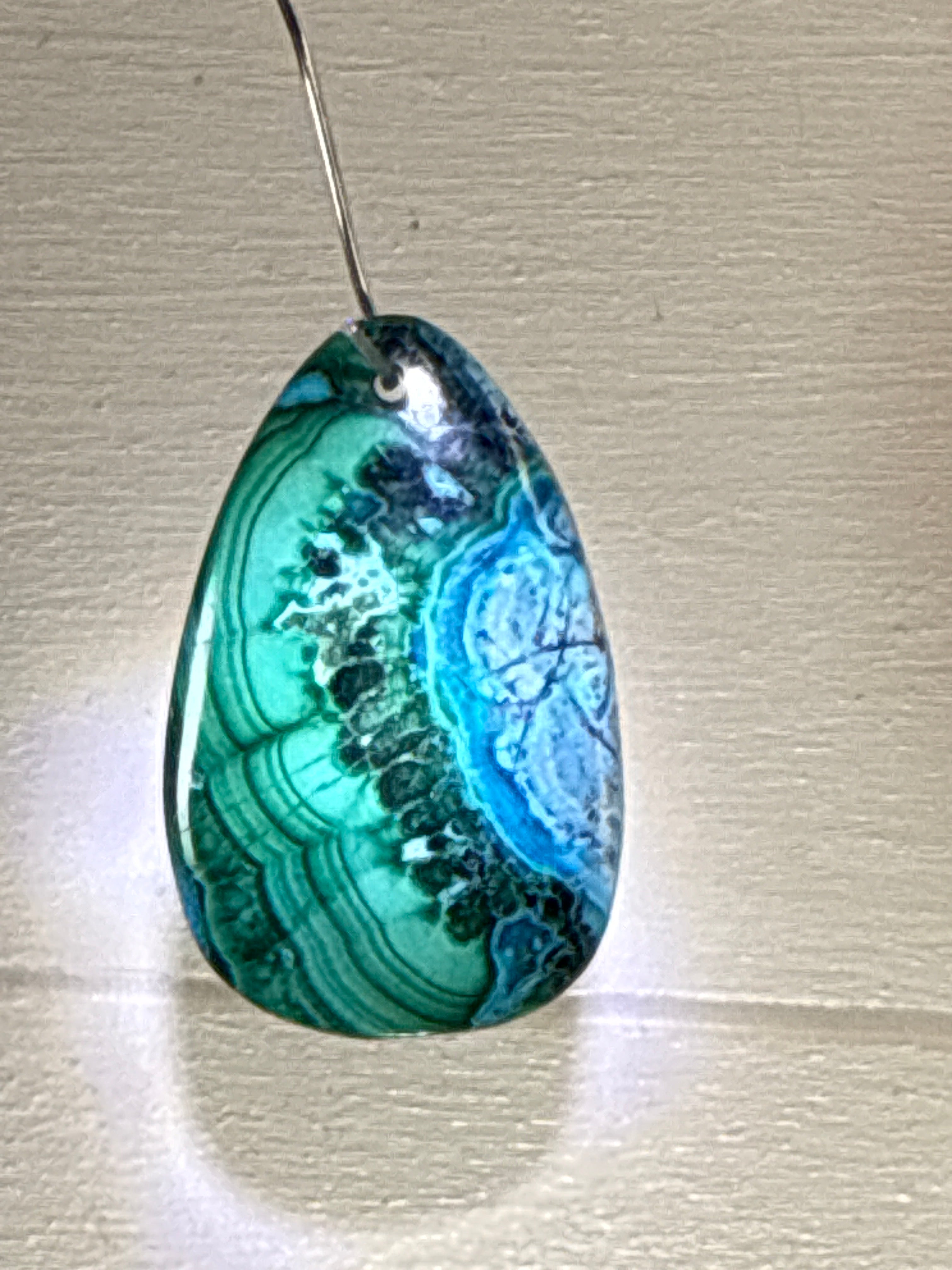 Malacholla Pendant