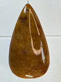 Fossil Coral Pendant