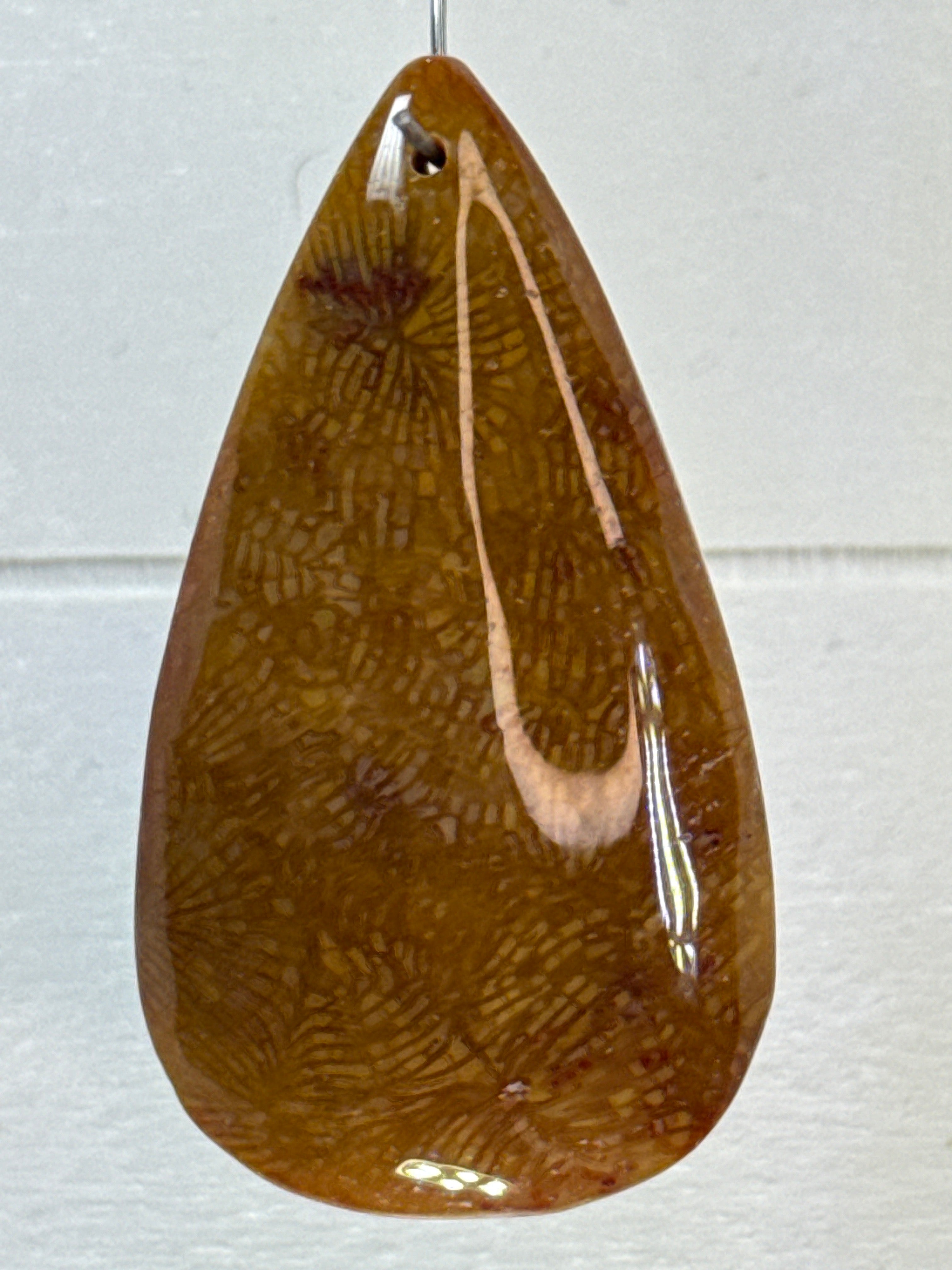 Fossil Coral Pendant