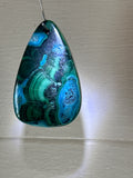 Malacholla Pendant