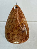 Fossil Coral Pendant