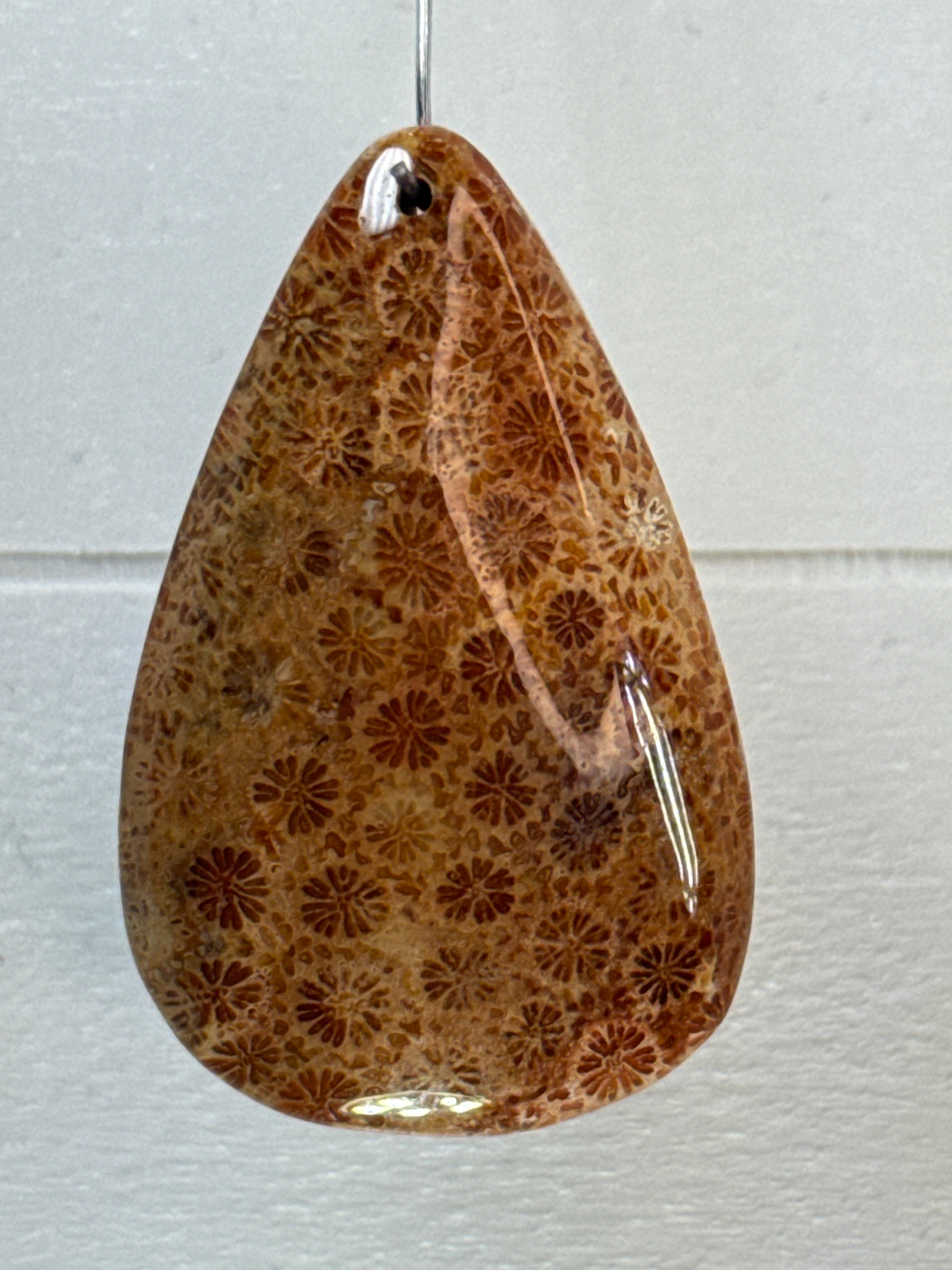 Fossil Coral Pendant