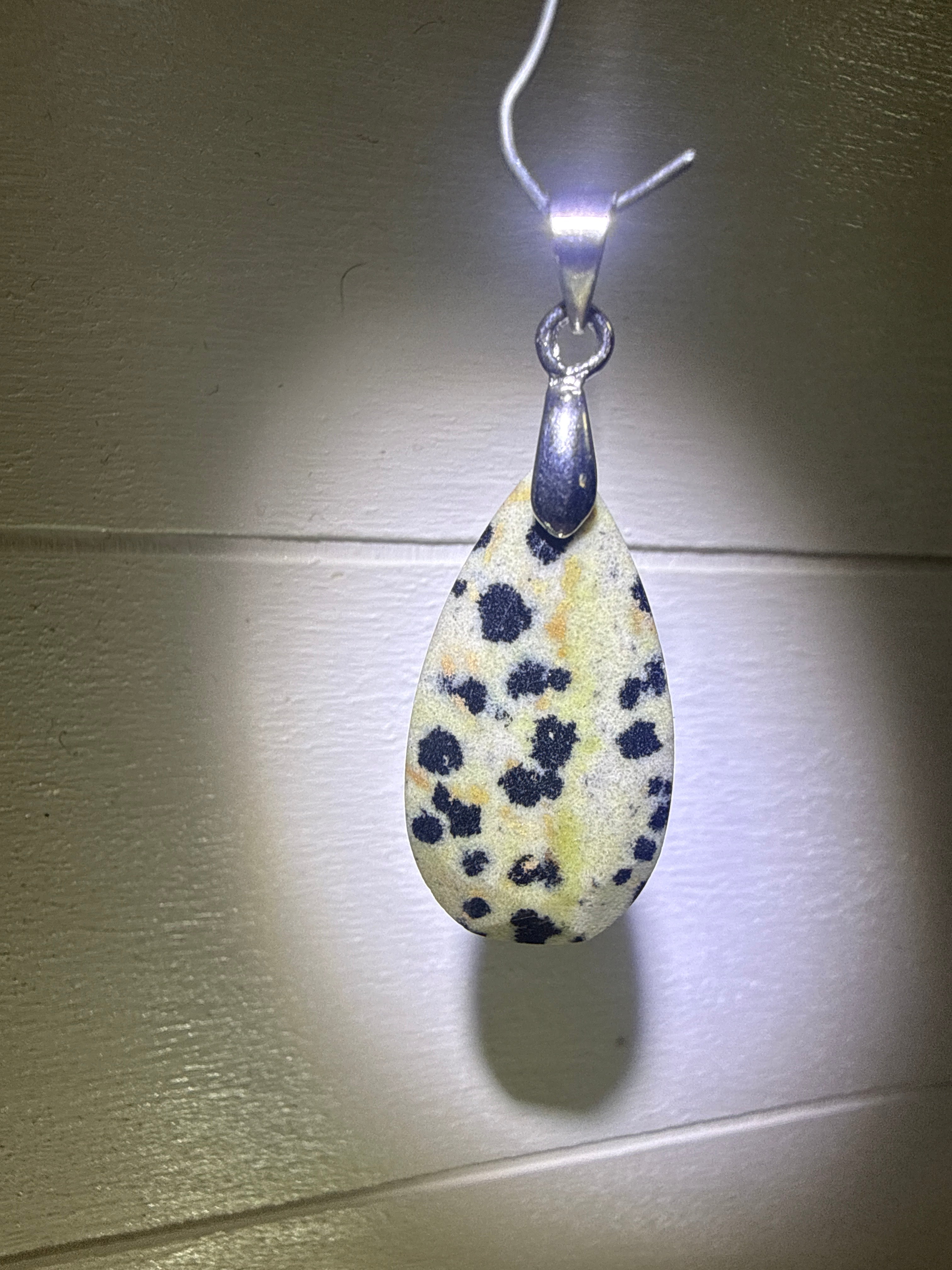 Faceted Dalmatian Jasper Pendant