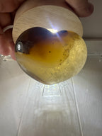 Dendritic Agate Heart