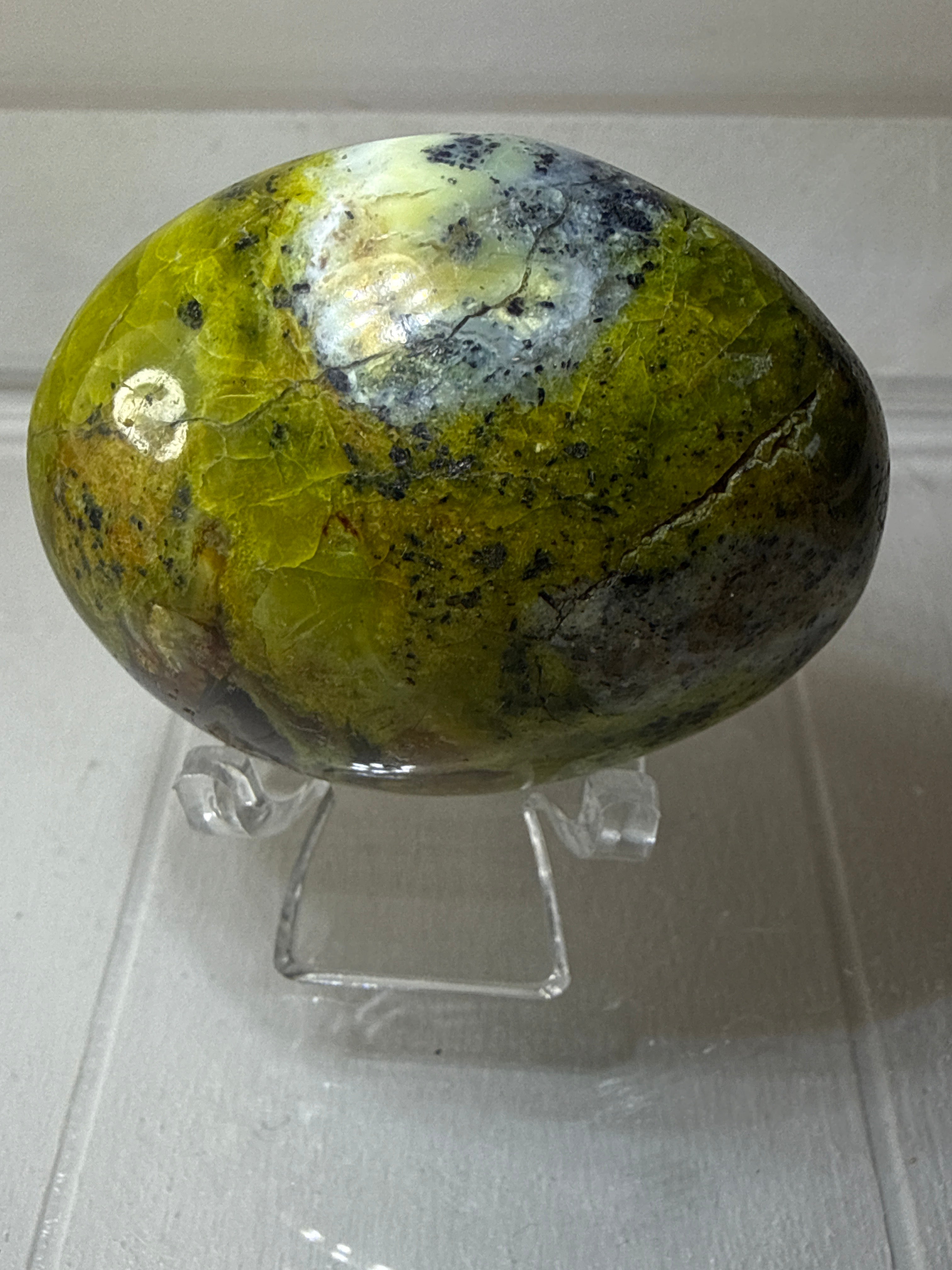 Dendritic Green Opal Palmstone