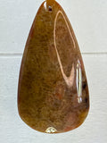 Fossil Coral Pendant