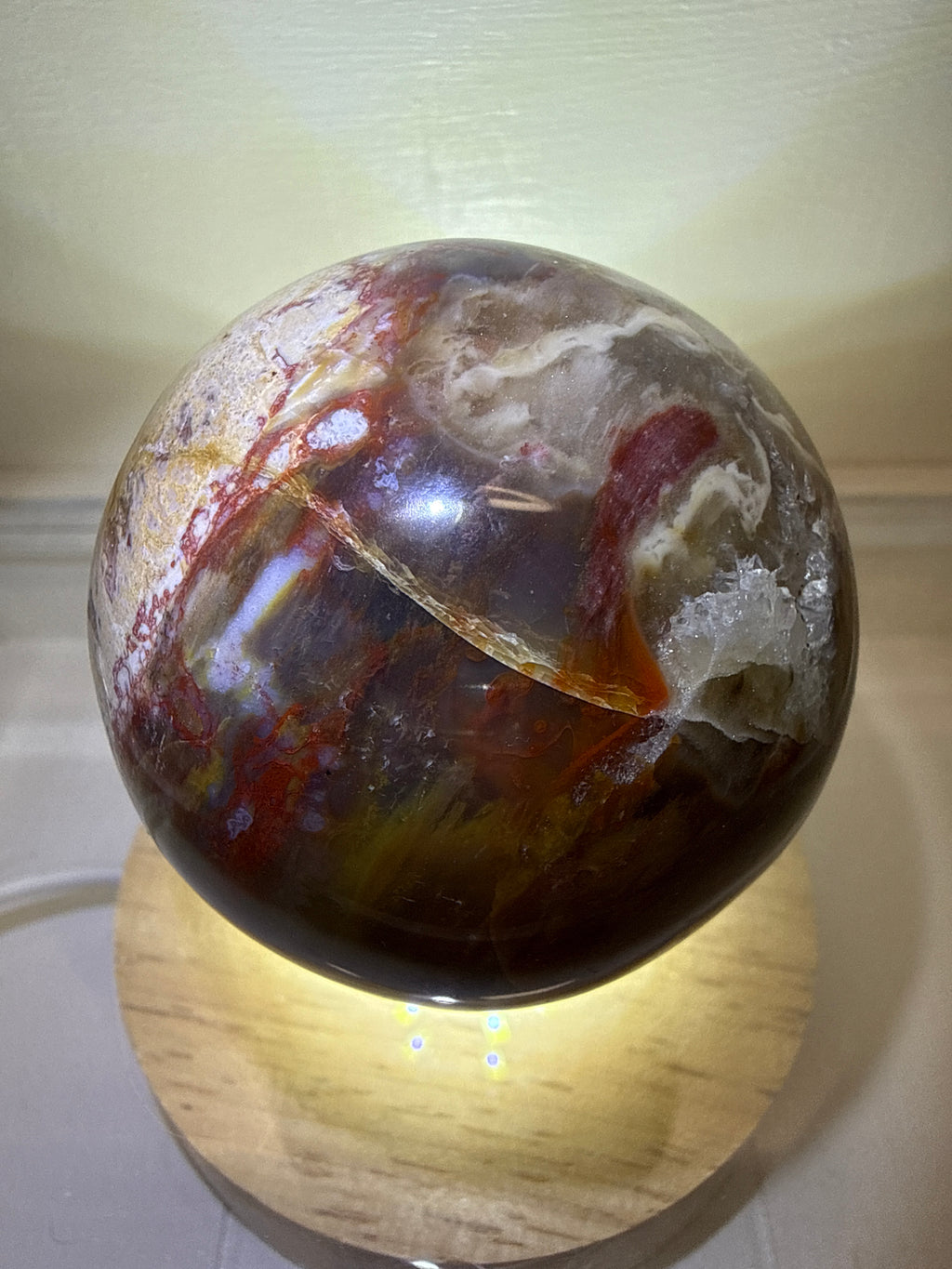 Petrified Wood Sphere