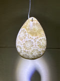 Fossil Coral Pendant