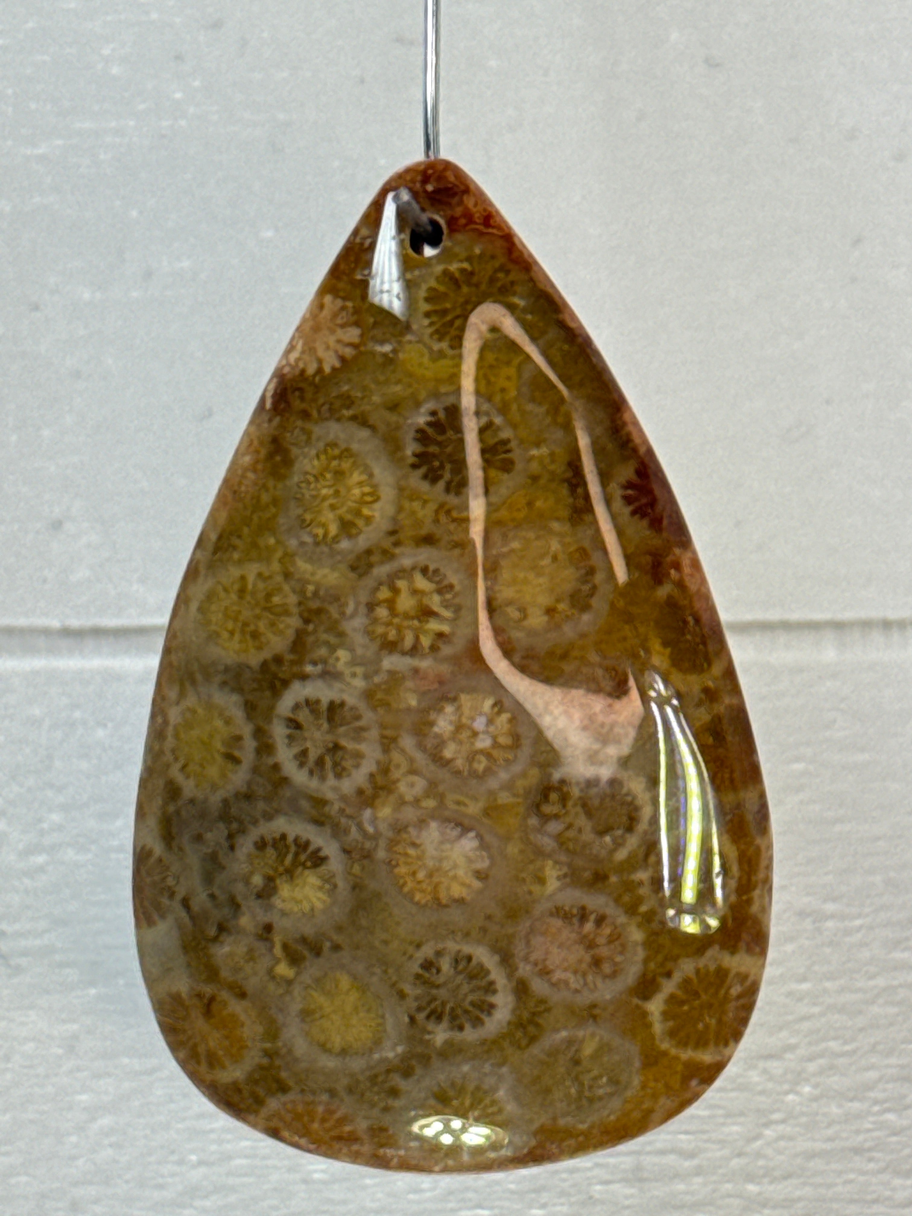 Fossil Coral Pendant